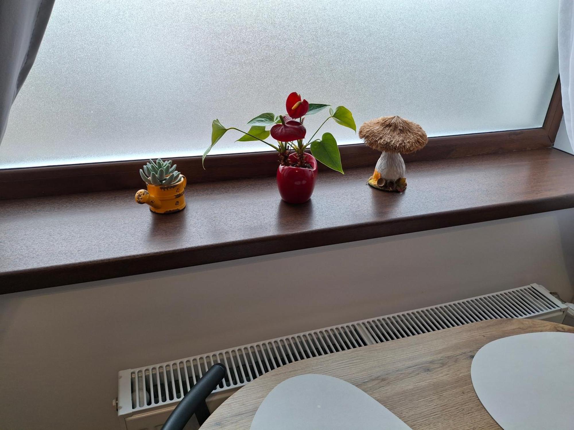 Clar Studio 1 Braşov Eksteriør bilde