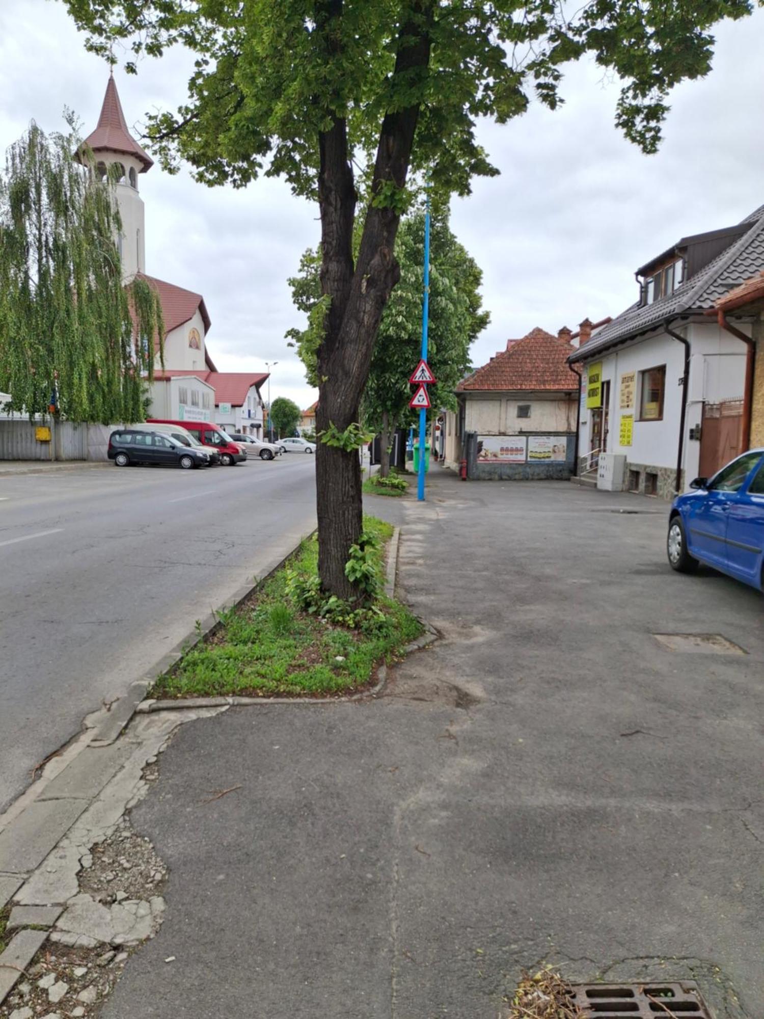 Clar Studio 1 Braşov Eksteriør bilde